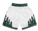 HOOPER FIKO MINNESOTA BASKETBALL TRAINING SHORTS