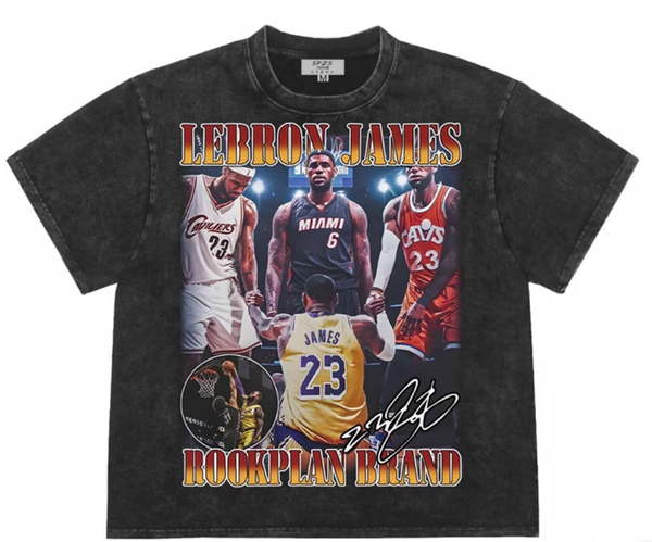 LEBRON JAMES BASKETBALL VIBE PRINT UNISEX T SHIRTS