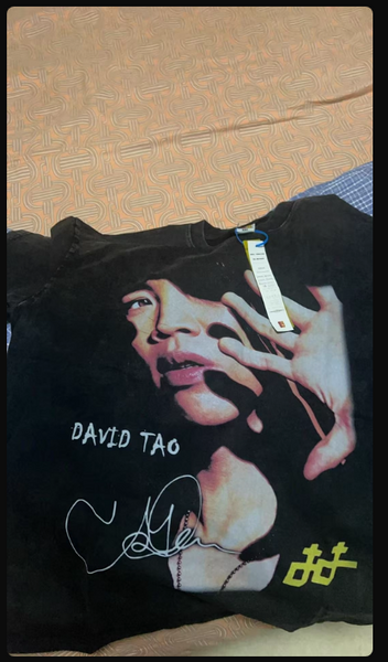 MANDOPOP DAVID TAO CONCERT KING MUSIC TOUR PRINT T SHIRT