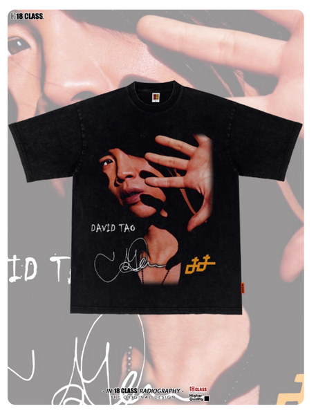 MANDOPOP DAVID TAO CONCERT KING MUSIC TOUR PRINT T SHIRT