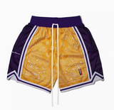 HOOPER FIKO BOSTON CELTIXO BASKETBALL TRAINIG SHORTS