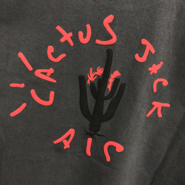 THE AGE OF ANALYTICS CACTUS AND BASKETBALL PRINT BASIC UNISEX T SHIRTS - boopdo