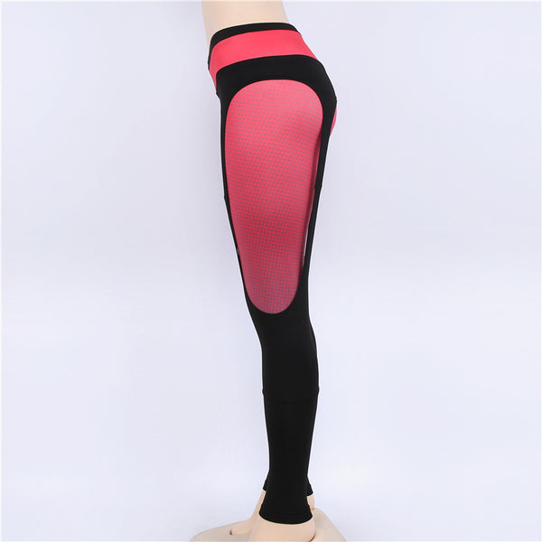 ZUMBA GIRLS OMBRE LEGGINGS WITH FISHNET DETAIL - boopdo