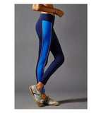 GYMNA COLOR BLOCK LEGGINGS IN NAVY AND BLUE - boopdo